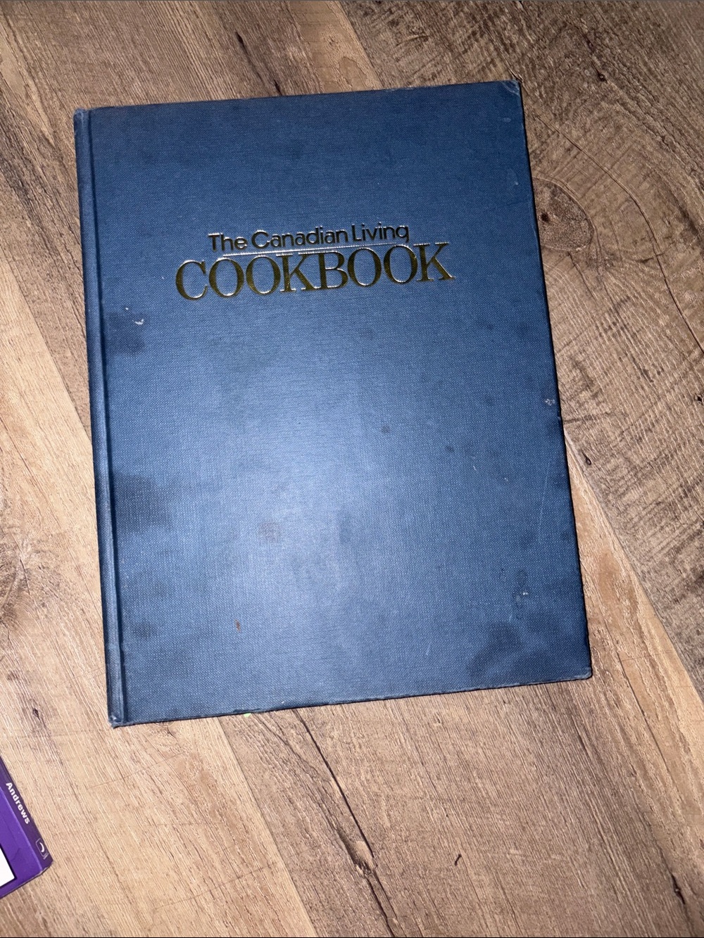 The Canadian Living Vintage Cookbook - Navy Hardcover As Is